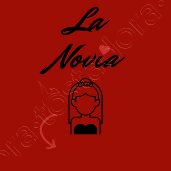 camiseta despedida soltera novia personalizable