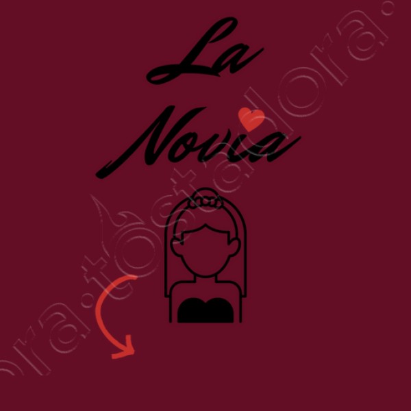 camiseta despedida soltera novia personalizable