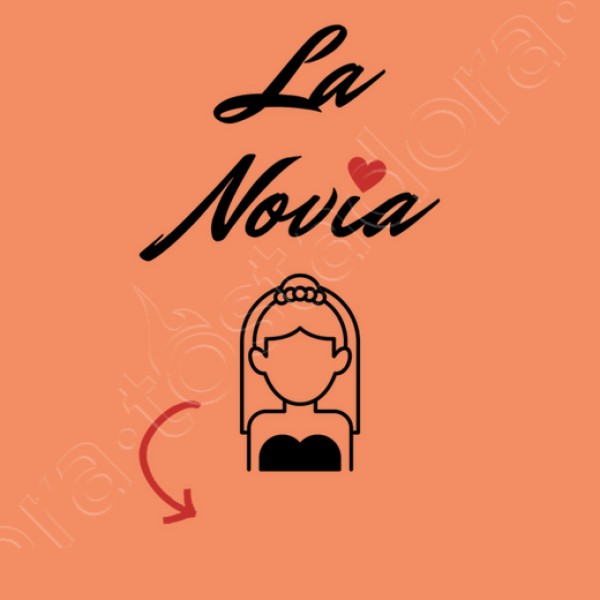 camiseta despedida soltera novia personalizable