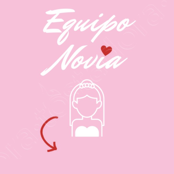 camiseta despedida soltera novia equipo novia personalizable