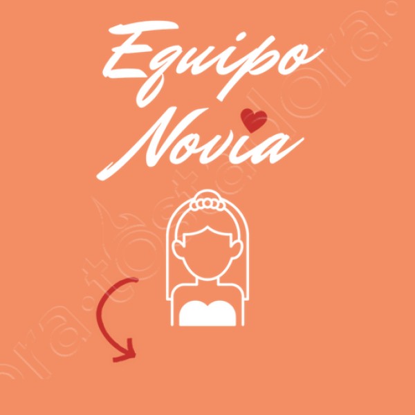 camiseta despedida soltera novia equipo novia personalizable