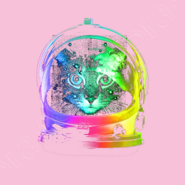 gato astronauta