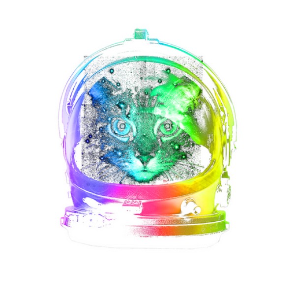 gato astronauta