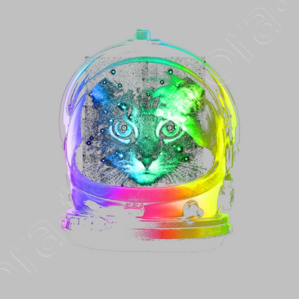gato astronauta