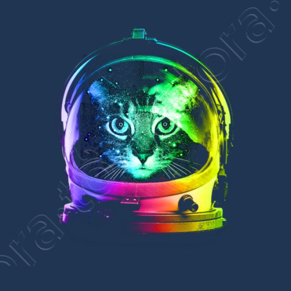 gato astronauta