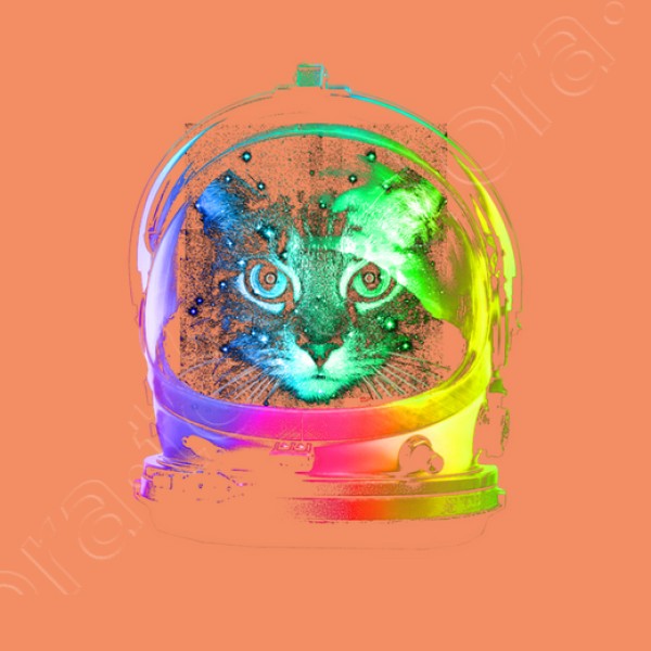 gato astronauta