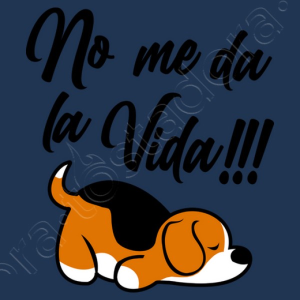 Beagle