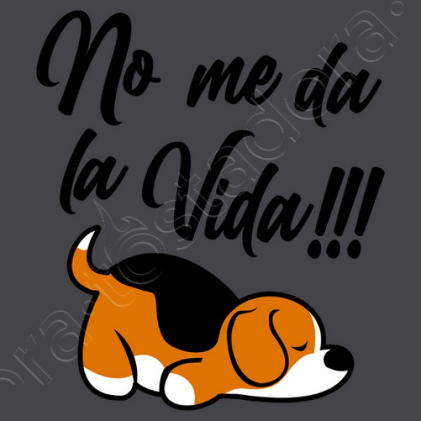 Beagle