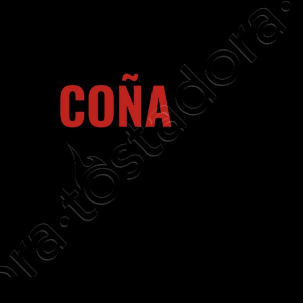 ni de cou00f1a at the moment taylor swift