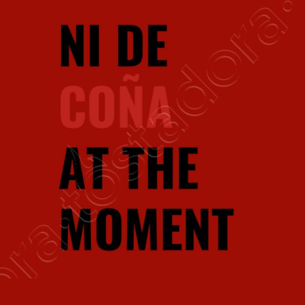 ni de cou00f1a at the moment taylor swift