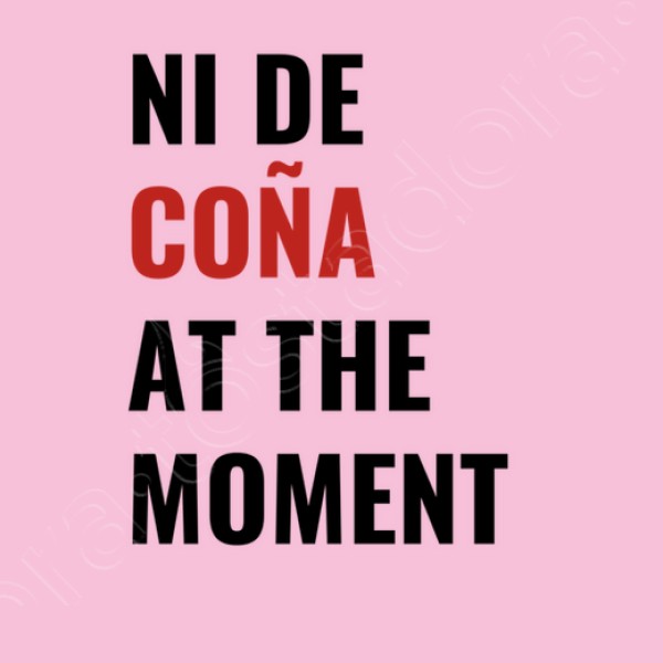 ni de cou00f1a at the moment taylor swift