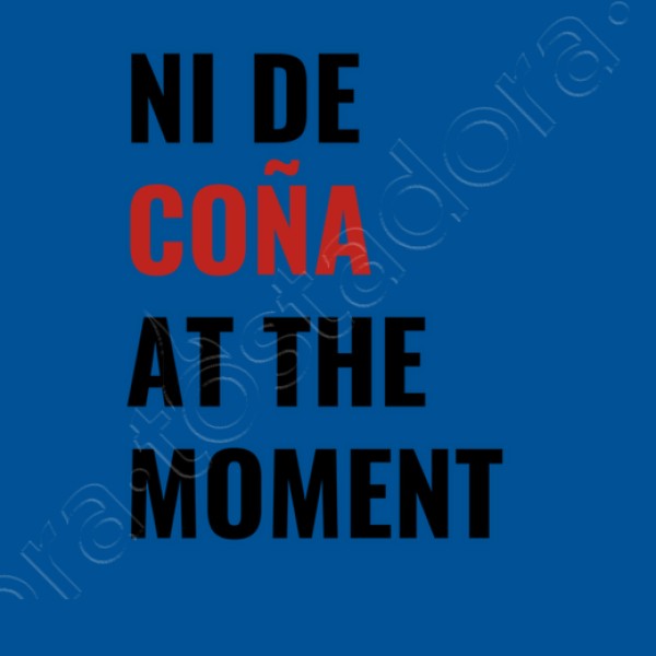 ni de cou00f1a at the moment taylor swift