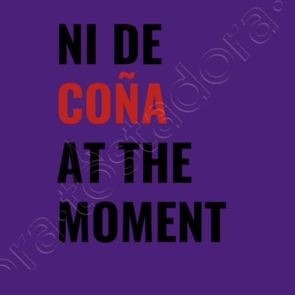 ni de cou00f1a at the moment taylor swift