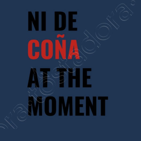 ni de cou00f1a at the moment taylor swift