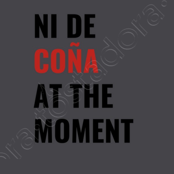 ni de cou00f1a at the moment taylor swift