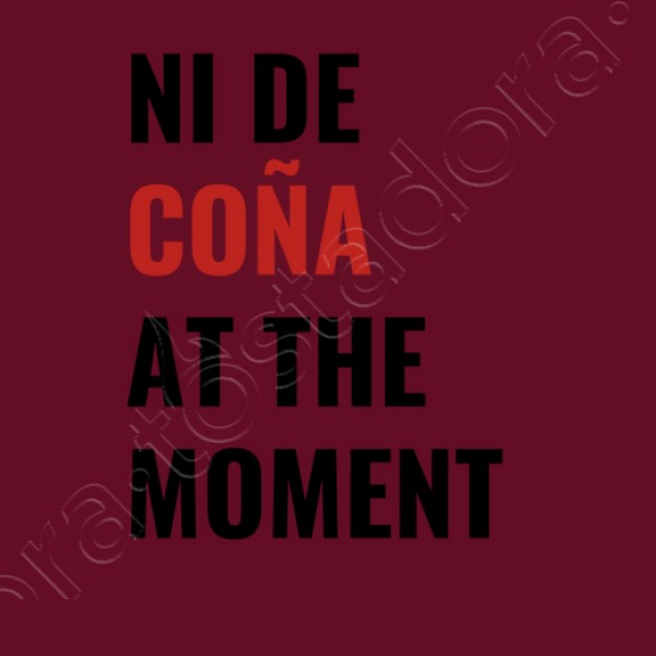ni de cou00f1a at the moment taylor swift