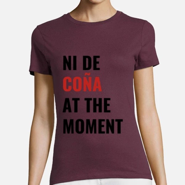 ni de cou00f1a at the moment taylor swift