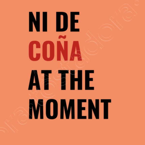 ni de cou00f1a at the moment taylor swift