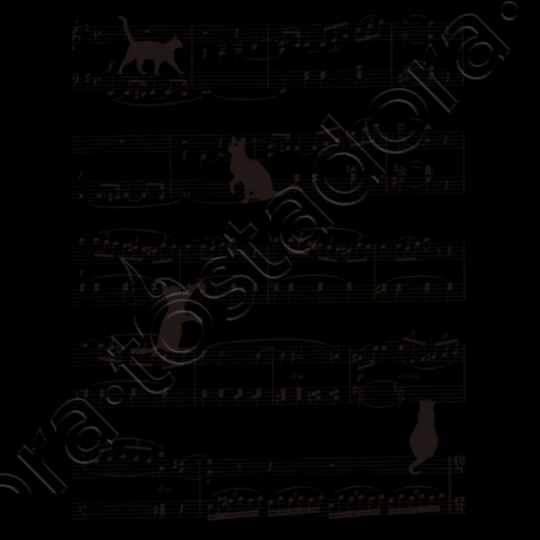 Musicat