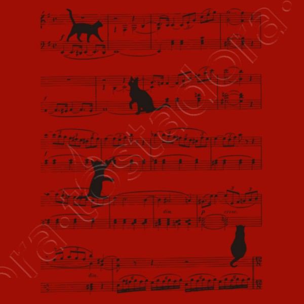 Musicat