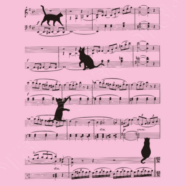 Musicat