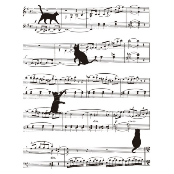Musicat
