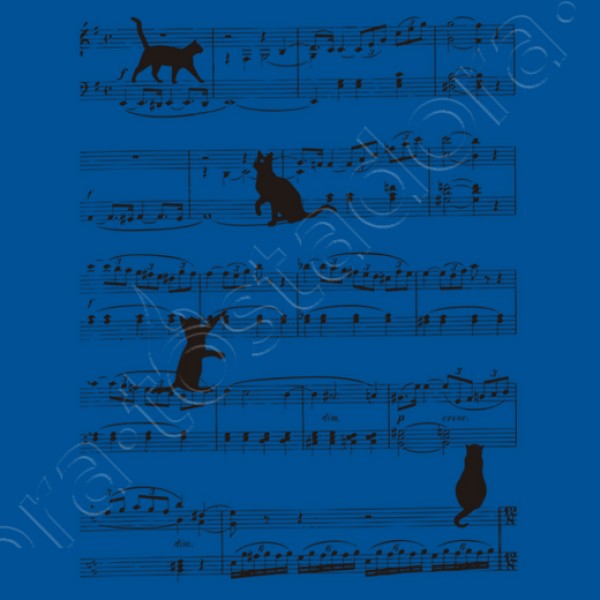 Musicat