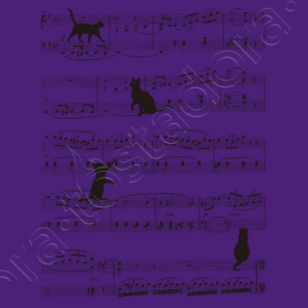 Musicat