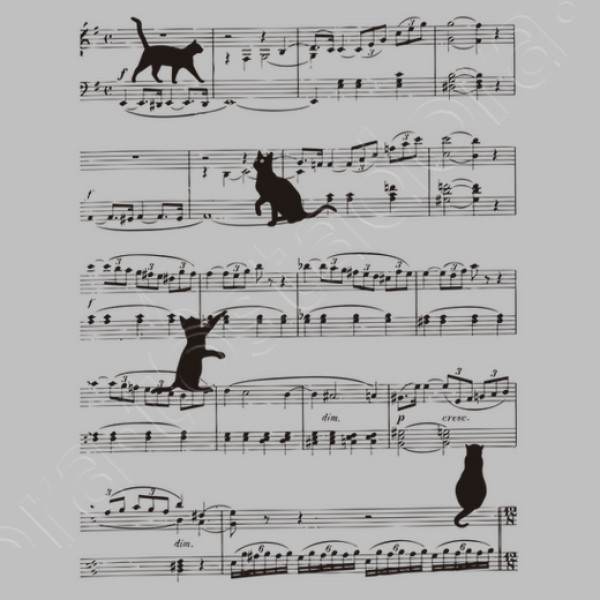 Musicat