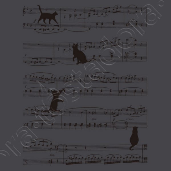 Musicat