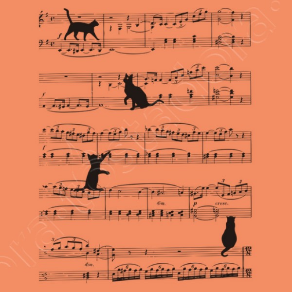 Musicat