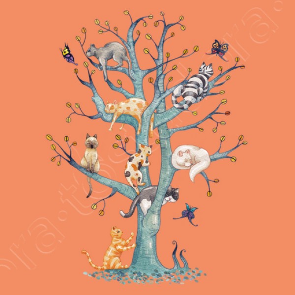 The tree of cat life
