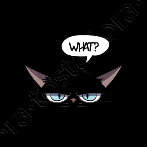 Camiseta mujer grumpy black cat