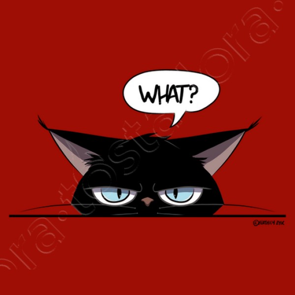 Camiseta mujer grumpy black cat