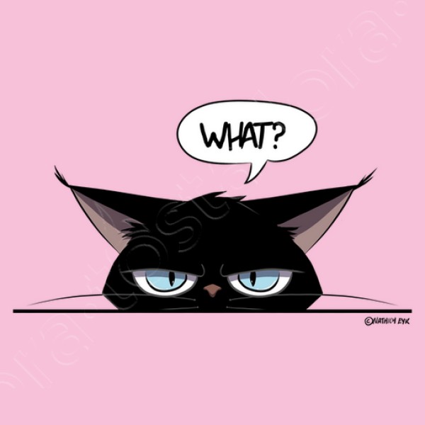 Camiseta mujer grumpy black cat