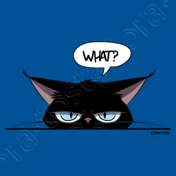 Camiseta mujer grumpy black cat
