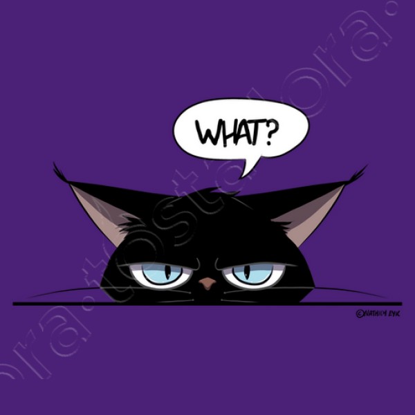 Camiseta mujer grumpy black cat