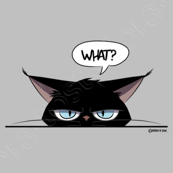 Camiseta mujer grumpy black cat