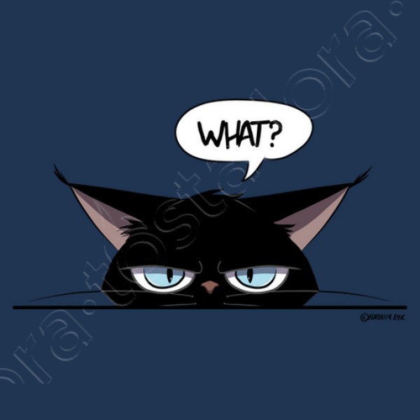 Camiseta mujer grumpy black cat