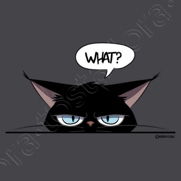 Camiseta mujer grumpy black cat