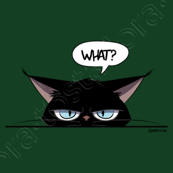 Camiseta mujer grumpy black cat