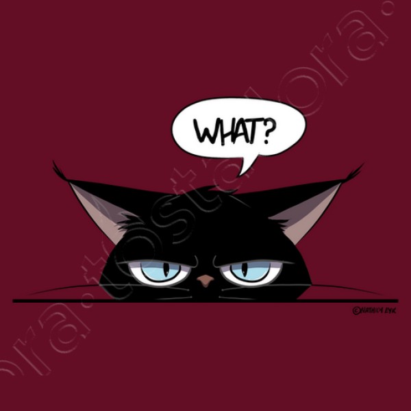 Camiseta mujer grumpy black cat