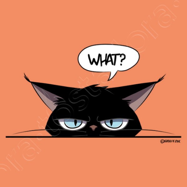 Camiseta mujer grumpy black cat