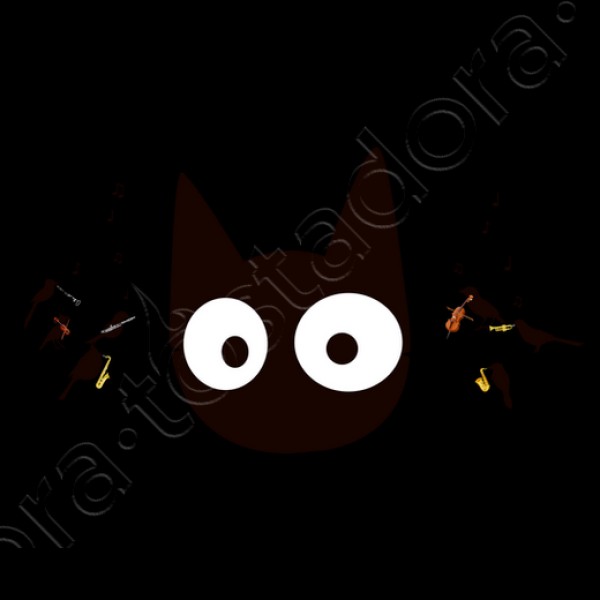 Gato negro