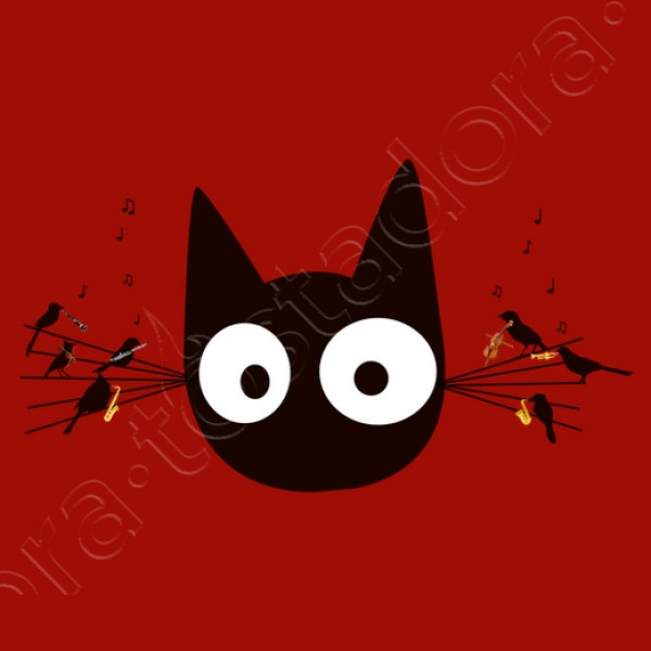 Gato negro
