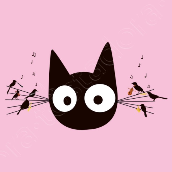 Gato negro