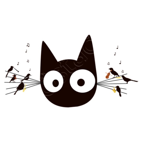 Gato negro