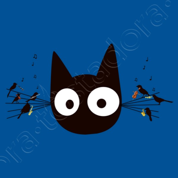 Gato negro