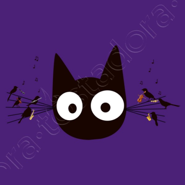 Gato negro