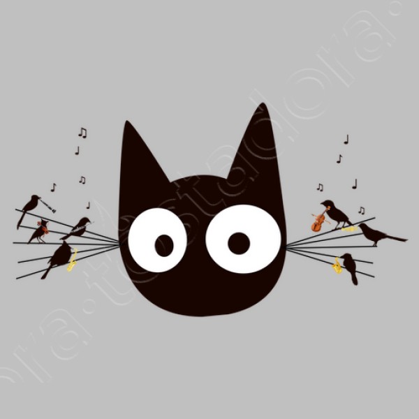 Gato negro